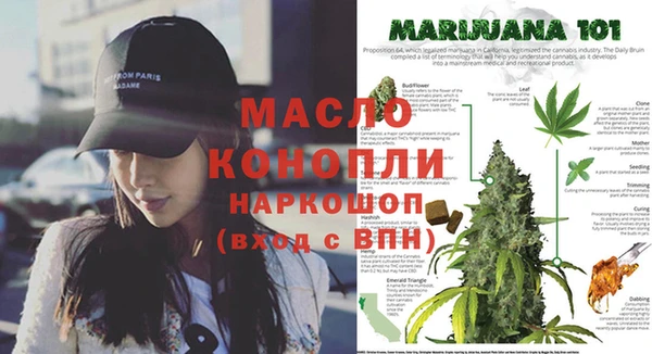 меф Арсеньев